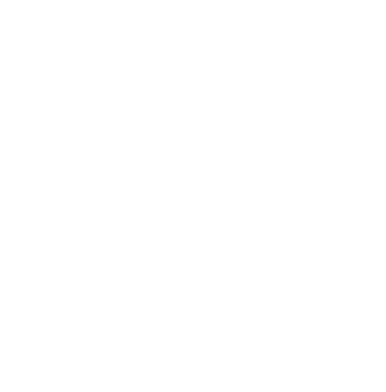 Ace Nation logo