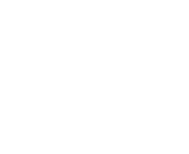 CrediCoach logo